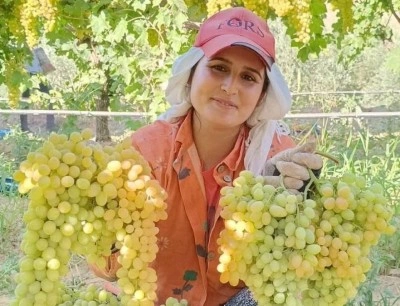 Üzüm yiyin hastalıklardan korunun