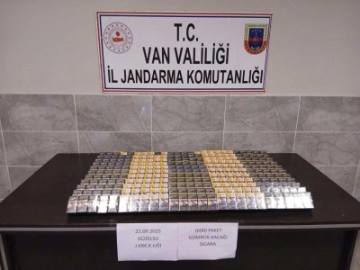 Van&rsquo;da ka&ccedil;ak sigara ve malzeme ele ge&ccedil;irildi