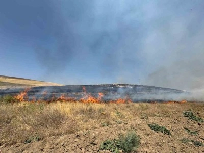 Yüzlerce dönüm arazi alev alev yandı