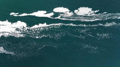 Van G&ouml;l&uuml;&rsquo;nde K&ouml;p&uuml;klenme Dikkat &Ccedil;ekti