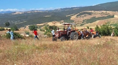 Vezirköprü’de buğday tarlasında yangın: 30 dönüm alan kül oldu
