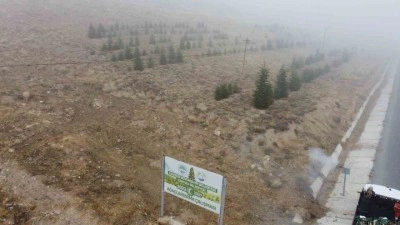 Yahyalı’ya bin 200 fidan dikildi