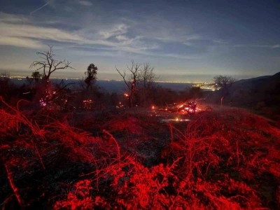 Yalova’daki orman yangını kontrol altına alındı