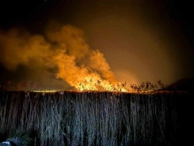 Yamadı Gölü alevlere teslim oldu, yangın 5 saatte kontrol altına alındı