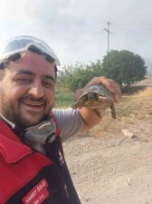 Hayvanlara elleriyle su içirdiler