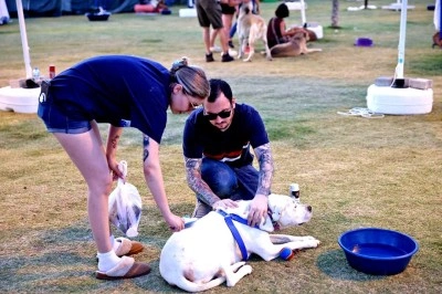 Yangından kurtulan patili dostlara yeni yuva