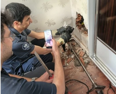 Yavru Kedi İtfaiyenin Operasyonuyla Kurtarıldı