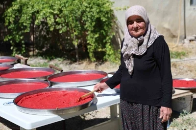 Yazlık&ccedil;ıların kış hazırlığı: Domates sal&ccedil;ası tepsilerde g&uuml;neşte olgunlaşıyor