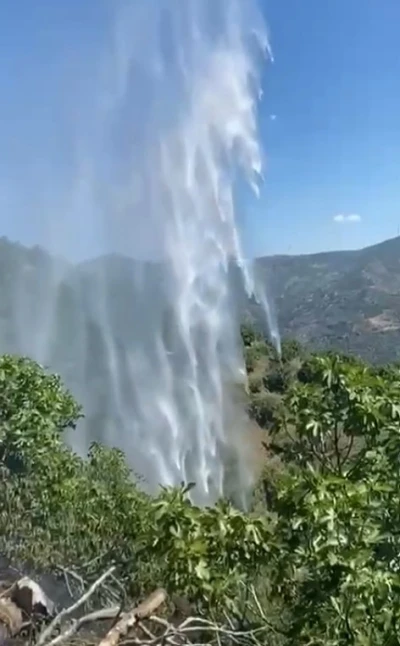 Yemek ısıtmak i&ccedil;in yaktığı ateş incir bah&ccedil;esini k&uuml;l etti