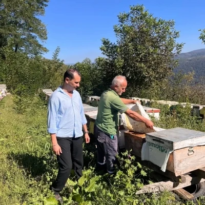 Yığılca&rsquo;da arılı kovan tespit &ccedil;alışması