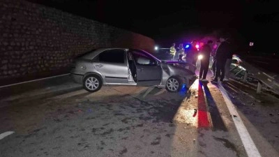 Yola çıkan yaban hayvanı kazaya neden oldu