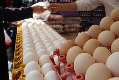 Diyarbakır'da yumurta fiyatları düştü talepler arttı