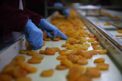 Malatya kayısısında hedef 300 milyon dolar gelir