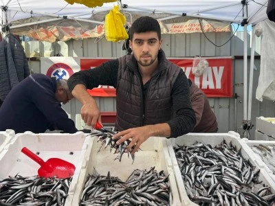 Zonguldak’ta Karadeniz Hamsisi 100 TL’ye Düştü