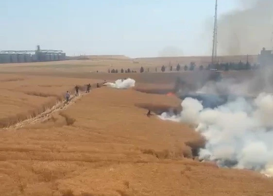 Diyarbakır'da Buğday Ekili Alan Cayır Cayır Yandı