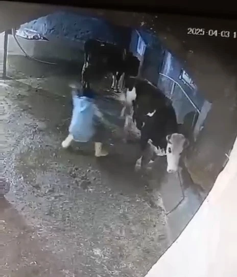 Bir Anlık Dikkatsizlik Canına Mal Oluyordu