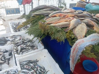 Diyarbakır&rsquo;da Balık Fiyatları Arttı, Talep Azaldı