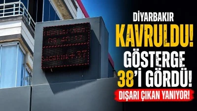 Diyarbakır'da &Ccedil;ocuklar Anzelede y&uuml;zd&uuml;ler