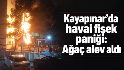 Diyarbakır'da havai fişek paniği