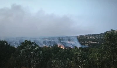Diyarbakır&rsquo;da ormanlık alanda yangın