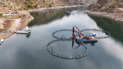 Diyarbakır’da Üretilen “Mezopotamya Somonu” Dünya Sofralarına Uğurlanıyor