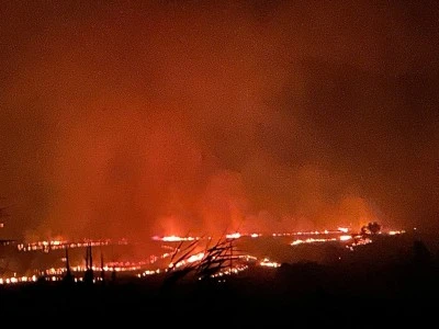Diyarbakır'ın Lice ve Hani İlçelerinde Orman Yangını Kontrol Altına Alındı
