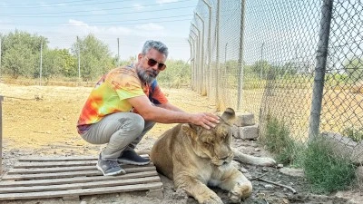 Diyarbakırlı Aslansever'den Antalya’daki Aslan'ın öldürülmesine tepki