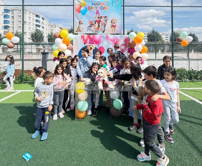 Diyarbakır&rsquo;da Sonunda buda oldu: K&ouml;peğe Doğum G&uuml;n&uuml; Partisi yaptılar