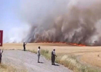 Kocaköy’de Bin Dönüm Buğday ve Arpa Alevlere Teslim Oldu
