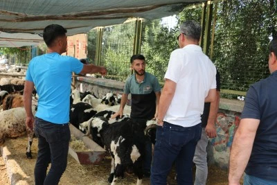 Kurban pazarlarında yoğunluk devam ediyor