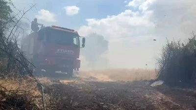 Lice&rsquo;de yangın paniği: Yaklaşık 400 d&ouml;n&uuml;ml&uuml;k alan zarar g&ouml;rd&uuml;