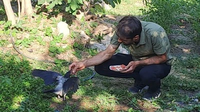 Silvanlı İhsan'ın Şefkatiyle Hayata Tutundular